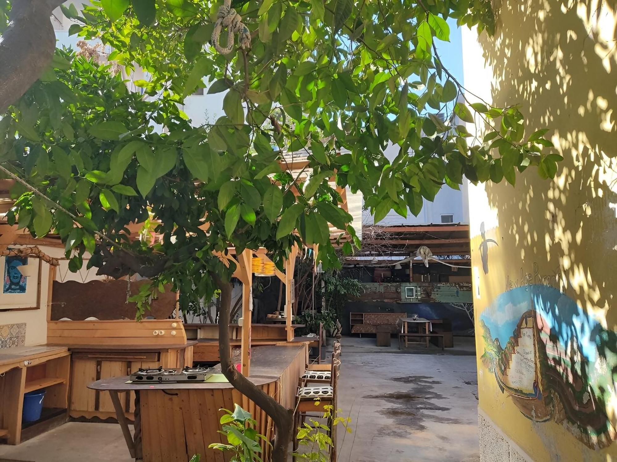 Backpacker Hostel Tirana